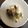 にむばすしゅたーぜん's cooksnap of when they made 超超カンタン！絶品水菜と塩鯖の旨煮.