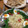 ﾌﾞﾚﾝﾀﾞ's cooksnap of when they made いんげんの茹でかた.
