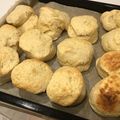 クックJPNFT2☆'s cooksnap of when they made さっくりふわっ♪全粒粉スコーン.
