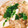 KAORULALA's cooksnap of when they made 生姜であったか♪豆腐とえのきのとろみ汁.