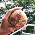 べンツ's cooksnap of when they made 甘めが美味しい！！かしわご飯　（鶏めし）.