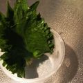※ぴーまん's cooksnap of when they made 大葉の保存方法.