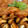 クックKMVAAO☆'s cooksnap of when they made いわしのトマト煮.