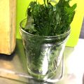 夕飯は６時です's cooksnap of when they made 大葉の保存法.