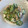 R2016's cooksnap of when they made 簡単！ツナきゅうりのマヨ和え.
