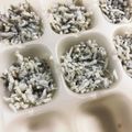 Clarimemo's cooksnap of when they made 離乳食中期〜後期しらす冷凍ストック.