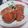 74yukarin's cooksnap of when they made ﾁｰｽﾞとじゃがいもの豚こま巻.