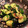 Citrus☆p's cooksnap of when they made たたききゅうり　梅はちみつ和え.