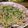 MEGuREEN's cooksnap of when they made きのこと豚肉の和風パスタ☆醤油バター味.