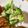 スノーディッシュ's cooksnap of when they made ブロッコリーのカレーマヨ和え.