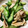 ぼるぼると's cooksnap of when they made さっぱりな鶏皮きゅうり【作り置きにも】.