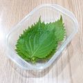 パンダ達の母です。's cooksnap of when they made しおれた大葉を復活＆保存法.