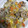 食べまくり's cooksnap of when they made 豚バラとたまねぎのスゴだれ炒め.