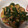kissxxx's cooksnap of when they made すぐできる☆きゅうりの中華和え.
