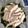 にゃこにゃこにゃんこ's cooksnap of when they made 鯛とわかめの酒蒸し.