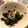 クック87XSXI☆'s cooksnap of when they made ワカメとエノキの酢の物.