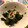 クック87XSXI☆'s cooksnap of when they made ワカメとエノキの酢の物.