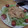 ★ぶらいあん☆'s cooksnap of when they made ニンニクのいい香り〜簡単エビマヨ★.