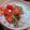 くまじ◎'s cooksnap of when they made ふわふわでヘルシー☆納豆めかぶトマト.