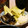 こーじｻﾝ's cooksnap of when they made アポガドとゆで卵のぬか漬け！.
