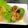 ルぴあ's cooksnap of when they made ニラ入り肉詰めピーマン♪スイチリ中華味.