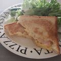 亜梨花's cooksnap of when they made フライパンで簡単♪パン1枚でホットサンド.