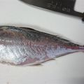 伝説のオールブルー's cooksnap of when they made 鯵のお刺身☆捌き方.