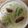 かおり♡♡♡'s cooksnap of when they made キャベツとウィンナー❀ミルクスープ！.