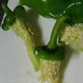 keikeigo's cooksnap of when they made 万願寺シシトウ（とうがらし）の種だし方.
