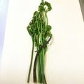 ☆こまっと☆'s cooksnap of when they made 煮ないわらびのアク抜き.