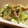 たもたん's cooksnap of when they made ザーサイときゅうりの胡麻マヨネーズ和え.