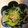 yobibaa's cooksnap of when they made ♪中華くらげの和え物♪.