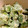 kacco88's cooksnap of when they made 簡単☆そら豆のチーズマヨ和え♪.