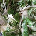 カクヨ's cooksnap of when they made 超簡単～✿胡麻マヨドレ✿.