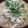 クックXB3EIA☆'s cooksnap of when they made 【糖質制限】キャベツ麺の味噌ラーメン.