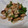 もかもかと's cooksnap of when they made 簡単おかず！焼き肉のたれで肉野菜炒め！.