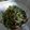 うさっこぱん's cooksnap of when they made 豆苗としめじのニンニクうまうま炒め♪.
