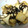 え～み～'s cooksnap of when they made 簡単副菜★エリンギの塩昆布炒め.