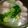 ＋SUN3's cooksnap of when they made 白菜と鶏ダンゴの熱々スープ.