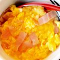 よーこまんま's cooksnap of when they made 天津飯のかんたん塩ダレ.