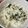 ★たーこ★'s cooksnap of when they made 大根消費♪大根の塩昆布マヨサラダ.