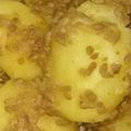 はっぴぃきっちん's cooksnap of when they made 新じゃがのそぼろ煮.