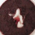 低脂質にこだわりたい's cooksnap of when they made 北欧のブルーベリースープ.