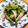 ごきげんYOYO♪'s cooksnap of when they made 簡単豆苗とハムのおひたし.
