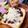 choco831's cooksnap of when they made 肉みそチーズトースト.