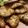 ミルミルNZ's cooksnap of when they made 鶏胸肉の海苔塩パン粉焼き.