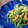 クックSEESE4☆'s cooksnap of when they made 青菜と切り干しのごま和え.
