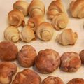 クックsamama☆'s cooksnap of when they made 豆乳とオリーブオイルのふわふわパン.