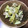 KaiN0906's cooksnap of when they made 俺流！絶対に旨い…鶏皮のり塩ポテト.