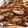 クックI3RAMG☆'s cooksnap of when they made ☼生姜焼き用の肉でマスタードチーズ焼き.